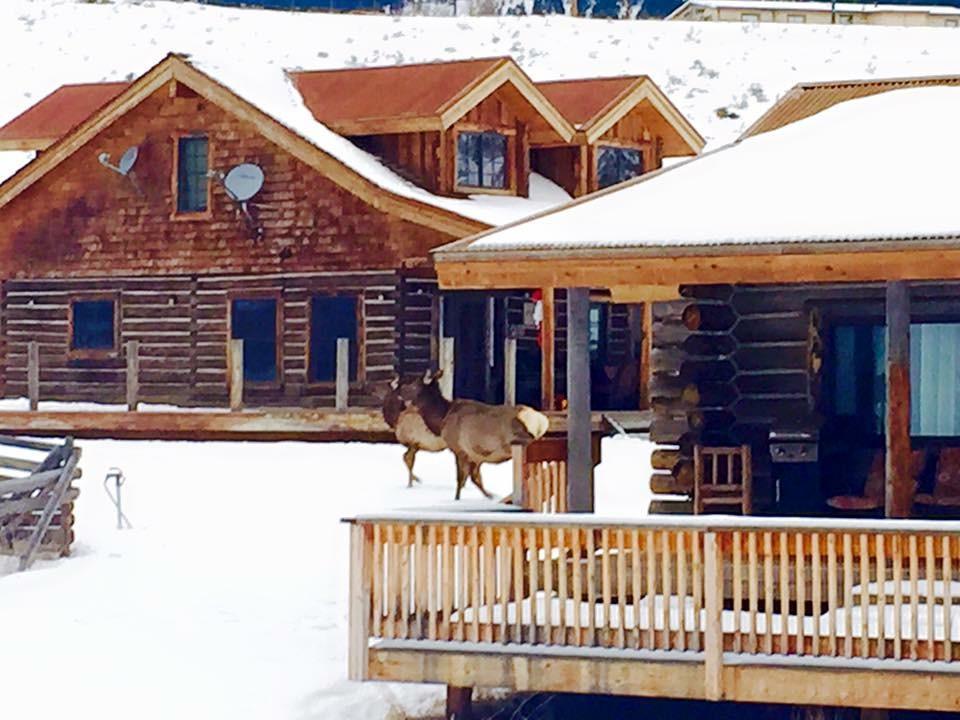Creek Cabin การ์ดีเนอร์ ภายนอก รูปภาพ