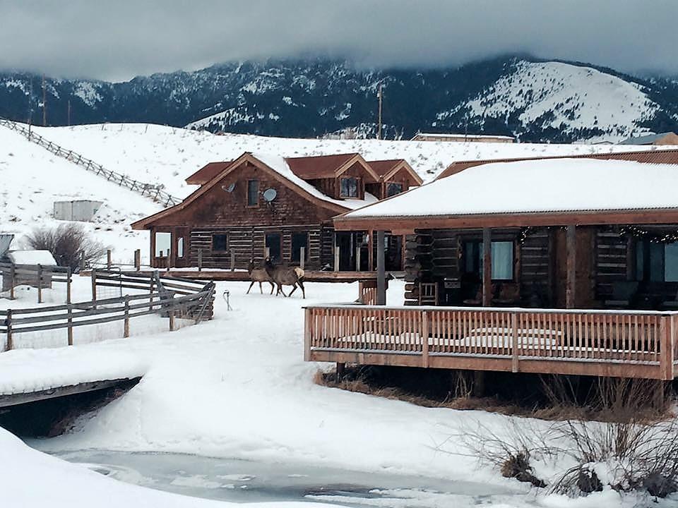 Creek Cabin การ์ดีเนอร์ ภายนอก รูปภาพ